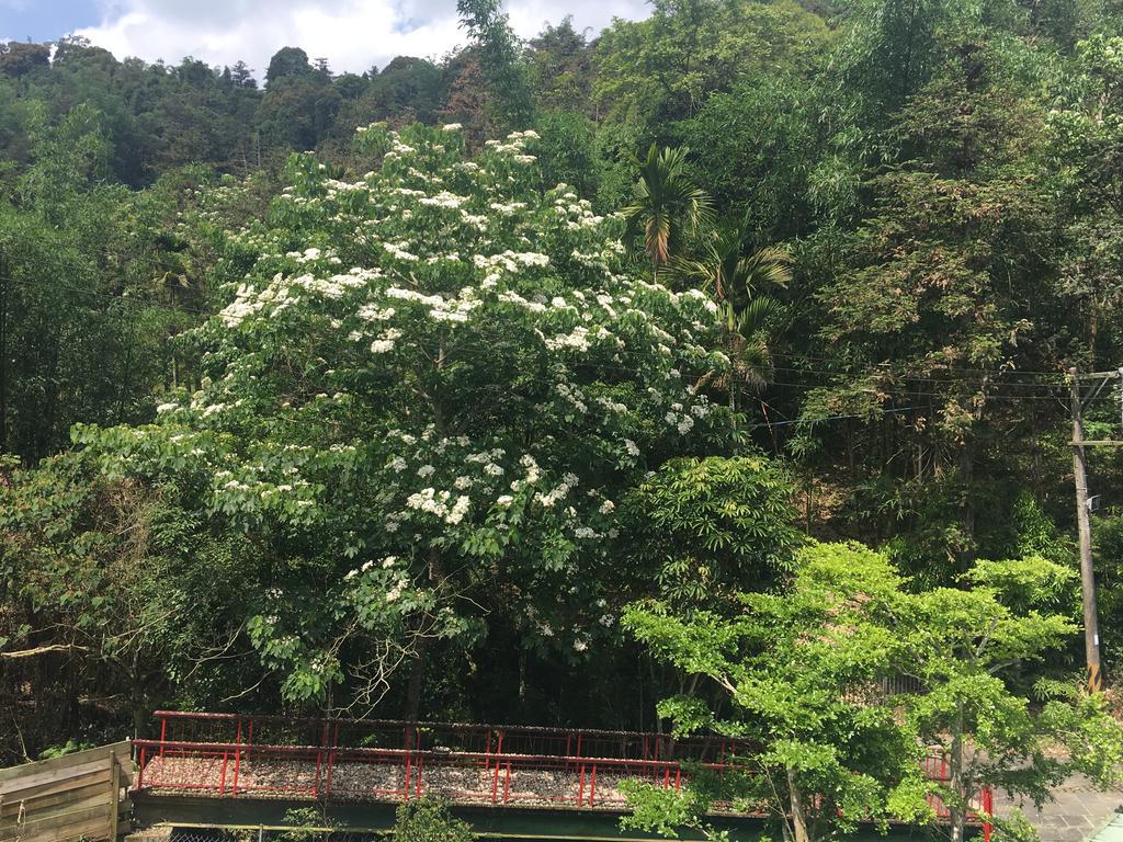 Dingdai Cherry Blossoms Resort Nantou Kültér fotó